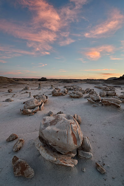Egg Factory At Dawn