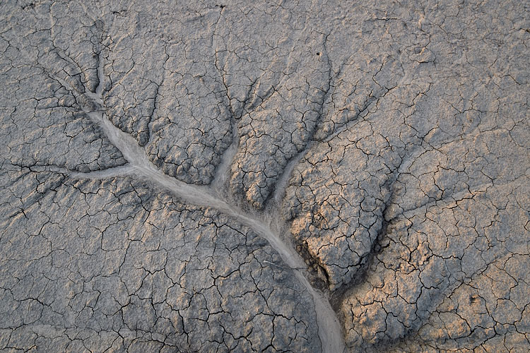 Erosion Fan