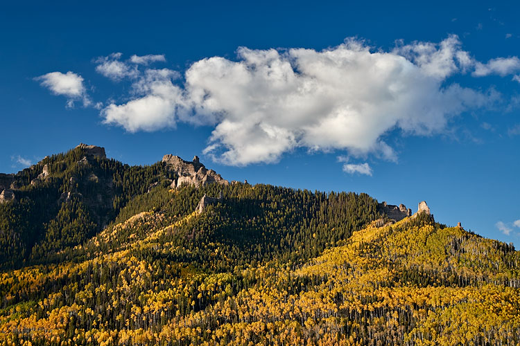 Yellow Hillside