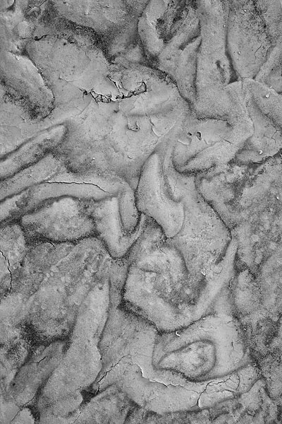 Wash Forms