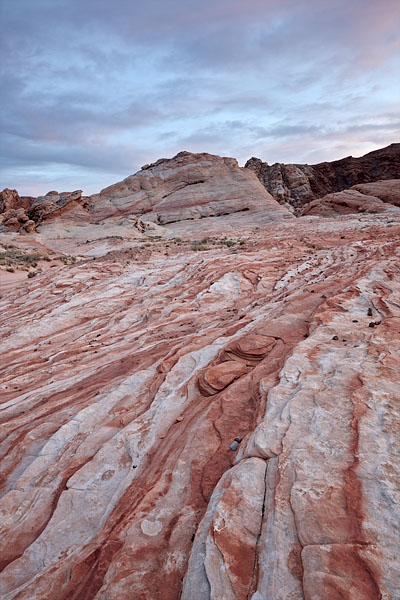 Red And White Sunset