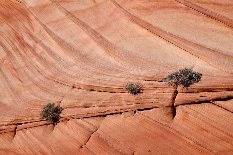 Sandstone Layers