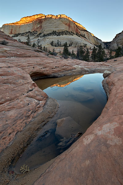 Pool At First Light