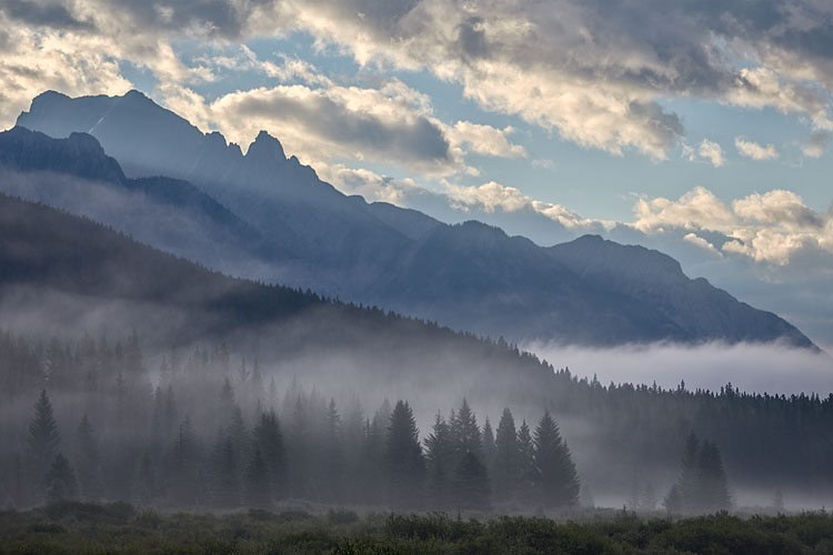Fog And Clouds
