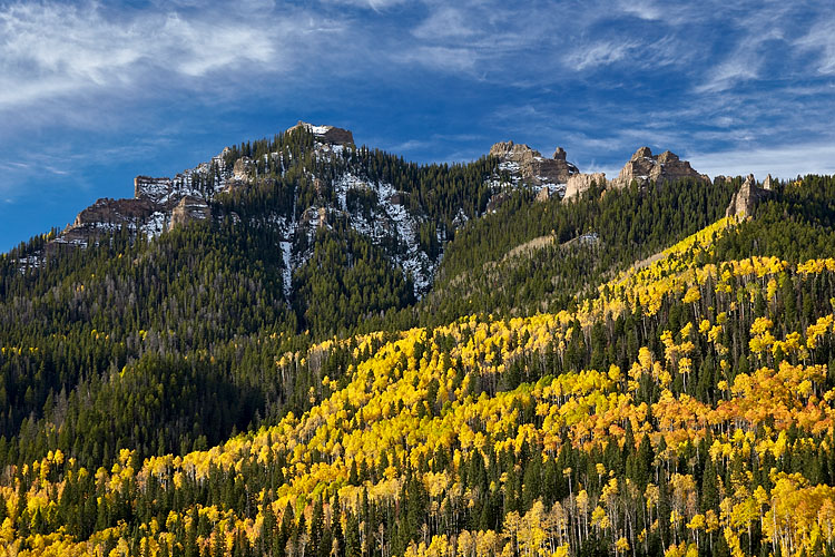 Yellow Hillside